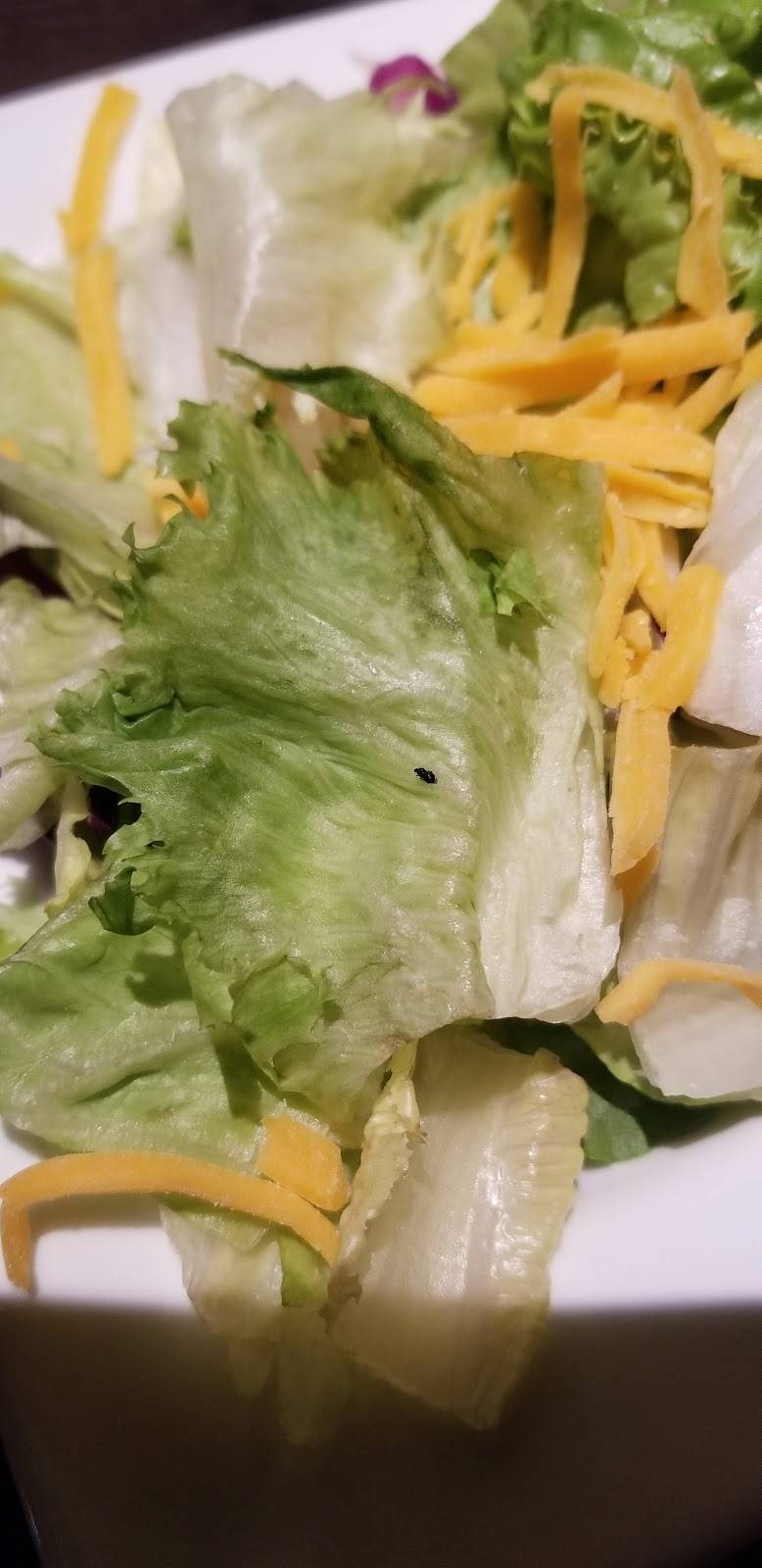 Red Robin Gourmet Burgers and Brews | restaurant | 4010 N Main St, Mishawaka, IN 46545, USA | 5742560100 OR +1 574-256-0100