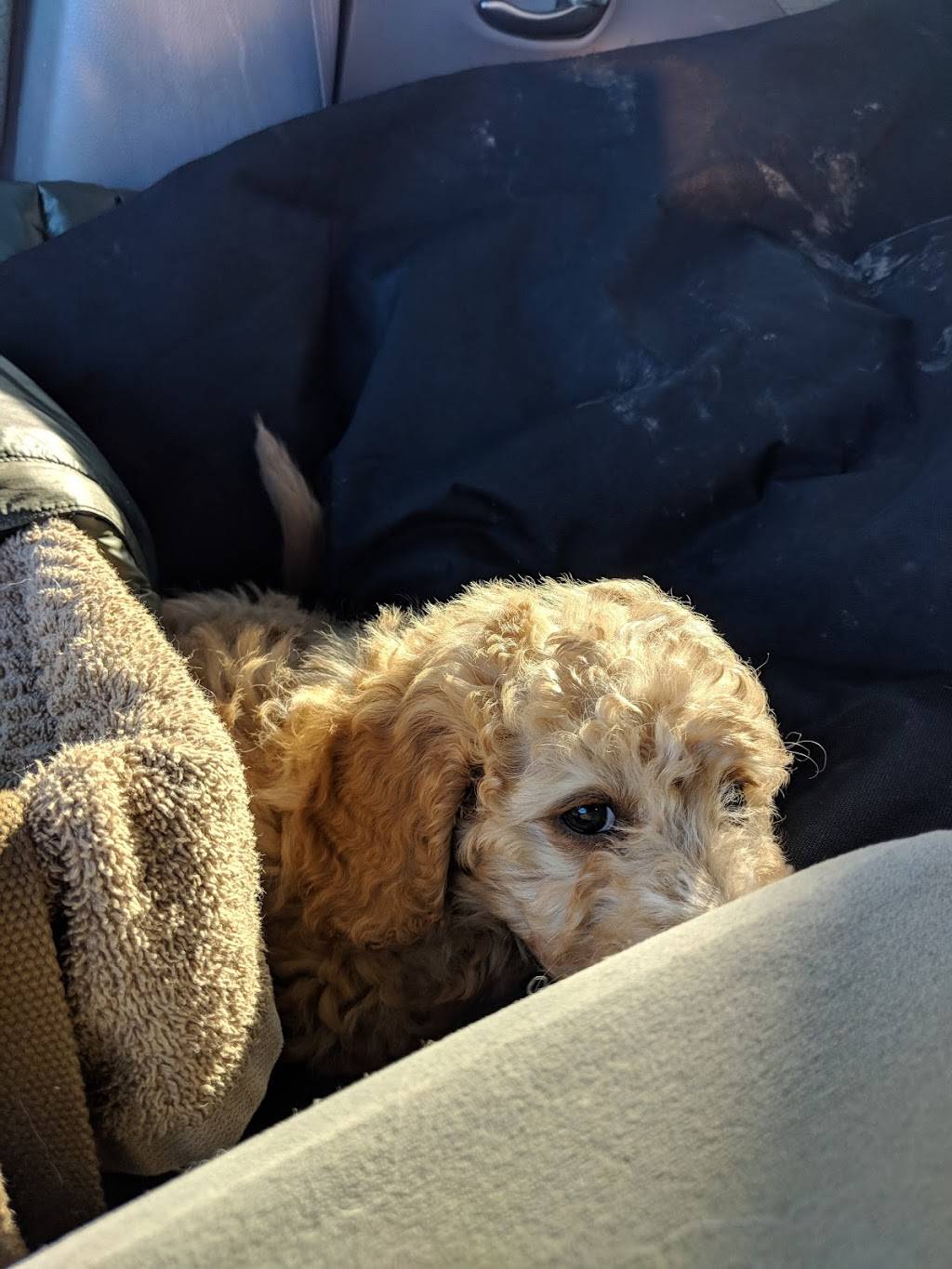 McDonalds | cafe | 207 N Galena Ave, Dixon, IL 61021, USA | 8152884683 OR +1 815-288-4683