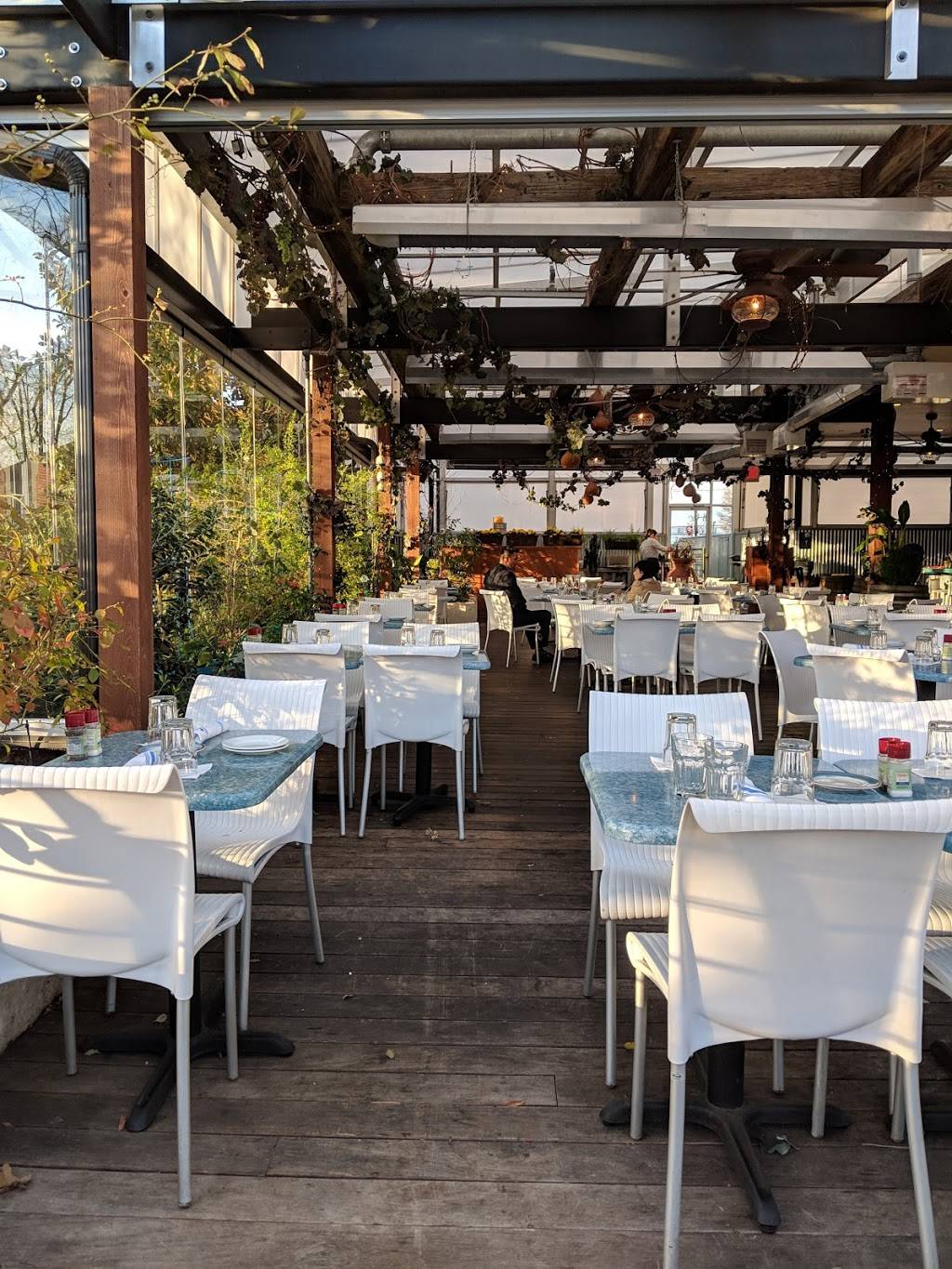 Taverna Agora Greek Kitchen & Bar | restaurant | 326 Hillsborough St, Raleigh, NC 27603, USA | 9198818333 OR +1 919-881-8333