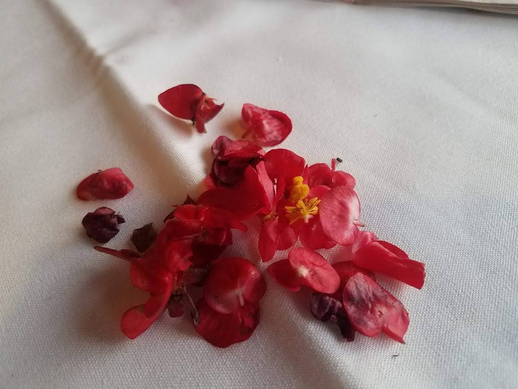 Pane e Vino | restaurant | 8945 S Fry Rd Suite A, Katy, TX 77494, USA | 2813912222 OR +1 281-391-2222