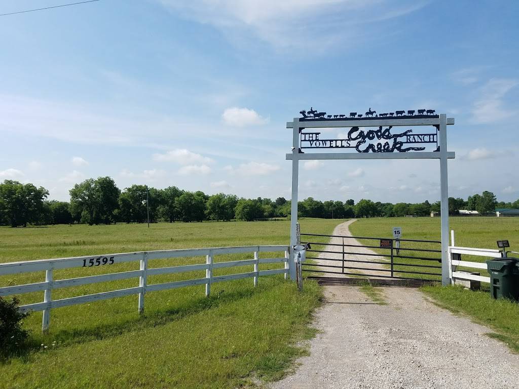 Dragon | restaurant | 10834 OK-53, Springer, OK 73458, USA | 5806532171 OR +1 580-653-2171