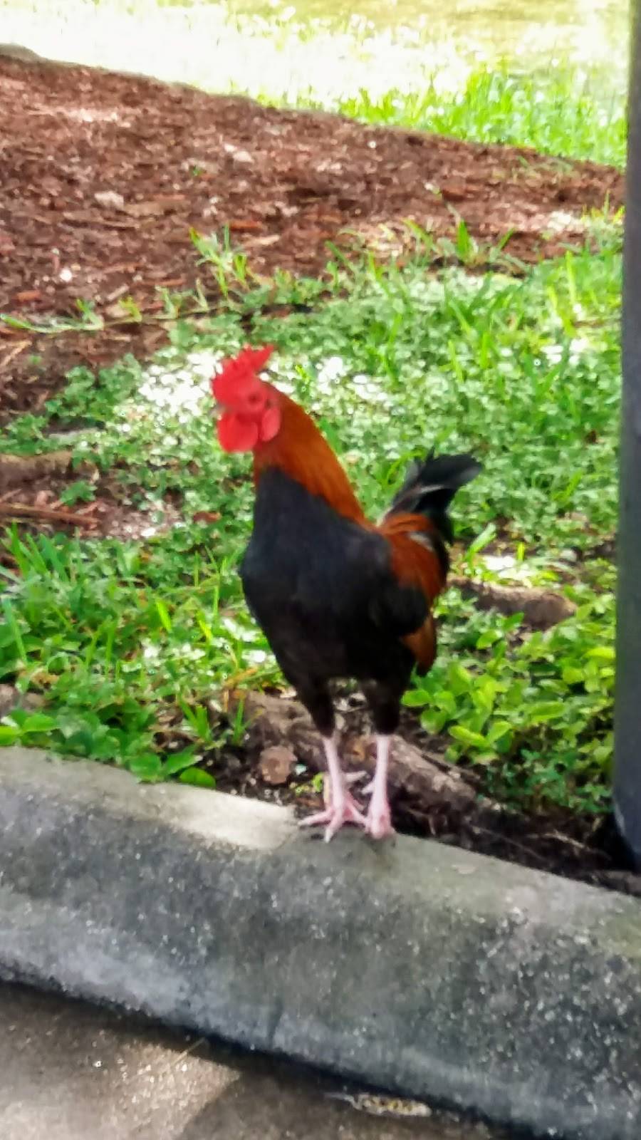 Westport Plaza | shopping mall | 6525 Nova Dr, Davie, FL 33317, USA | 5616302300 OR +1 561-630-2300