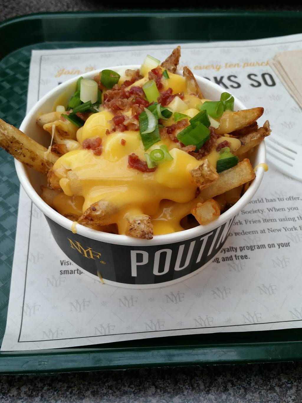 New York Fries - Devonshire Mall | restaurant | 3100 Howard Ave Unit Q13, Windsor, ON N8X 3Y8, Canada | 5199665336 OR +1 519-966-5336