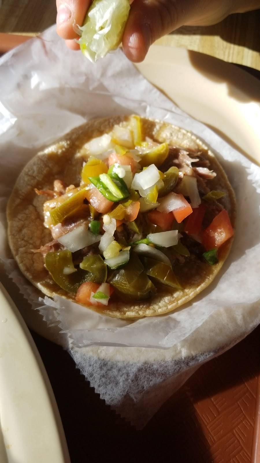 Wolfs | restaurant | 3643 Wolf Rd, Franklin Park, IL 60131, USA | 8474550070 OR +1 847-455-0070