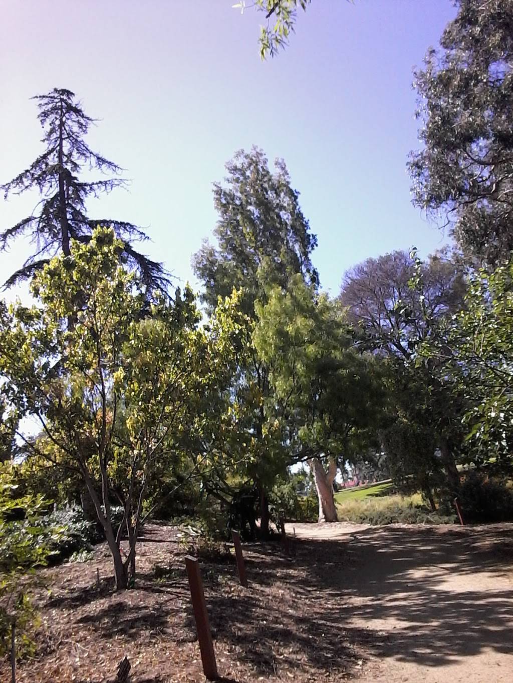 Tasty Pizza | meal takeaway | 2481 Broadway, San Diego, CA 92102, USA | 6192333005 OR +1 619-233-3005