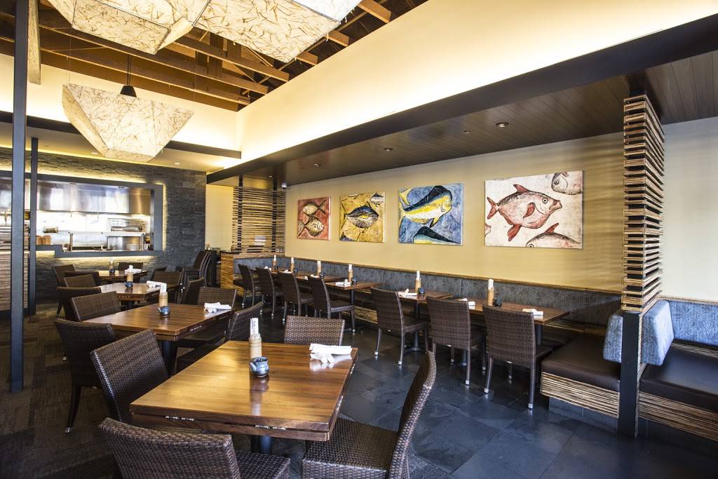 Pacific Catch | restaurant | 243 S B St, San Mateo, CA 94401, USA | 6503892482 OR +1 650-389-2482