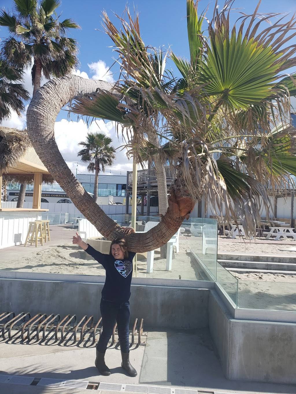 Canes Bar & Grill | restaurant | 3105 Ocean Front Walk, San Diego, CA 92109, USA | 8584888882 OR +1 858-488-8882