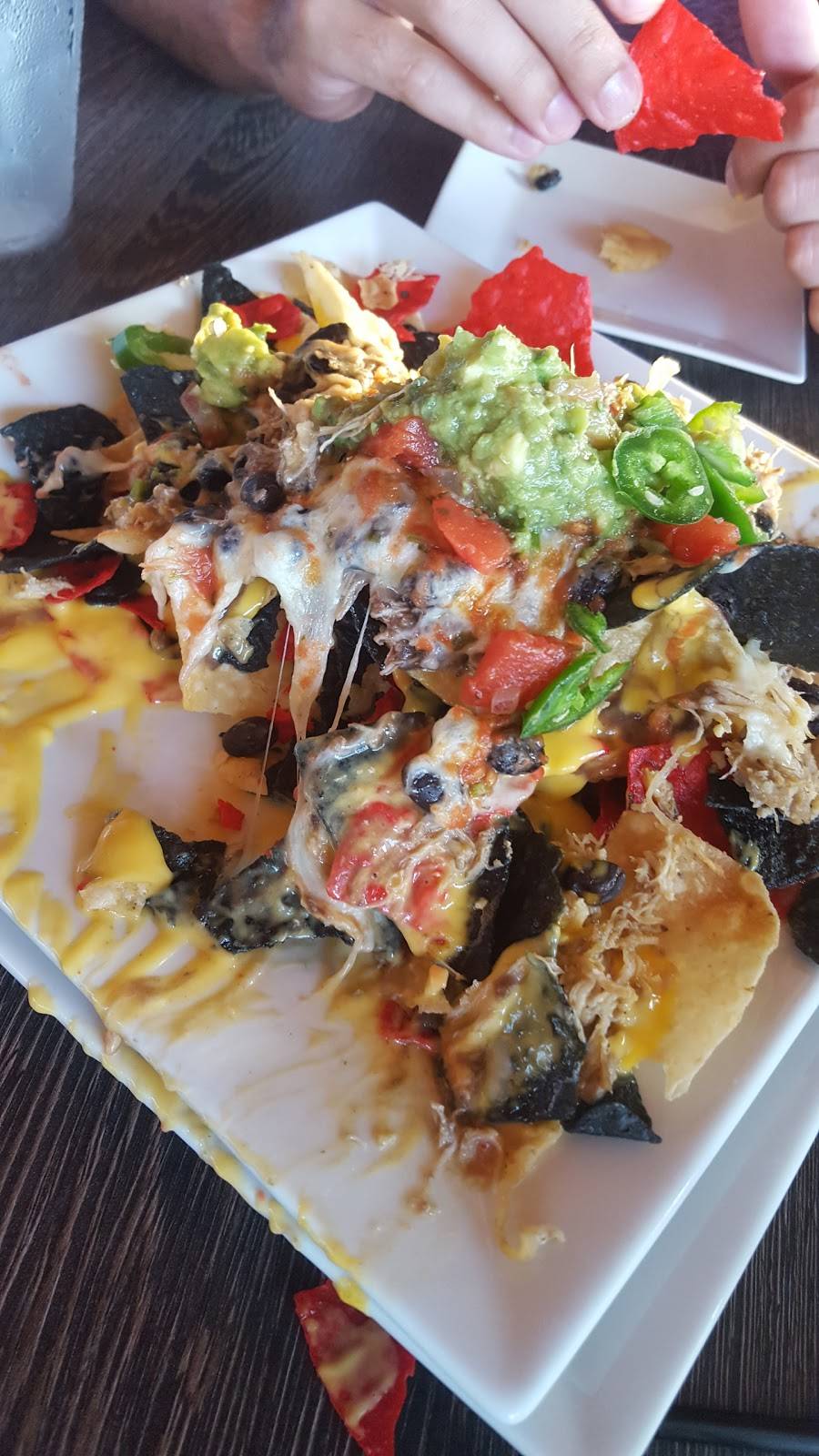 Mango Bay | restaurant | Tobay Beach Marina, 1 Ocean Pkwy, Massapequa, NY 11758, USA | 5167850310 OR +1 516-785-0310