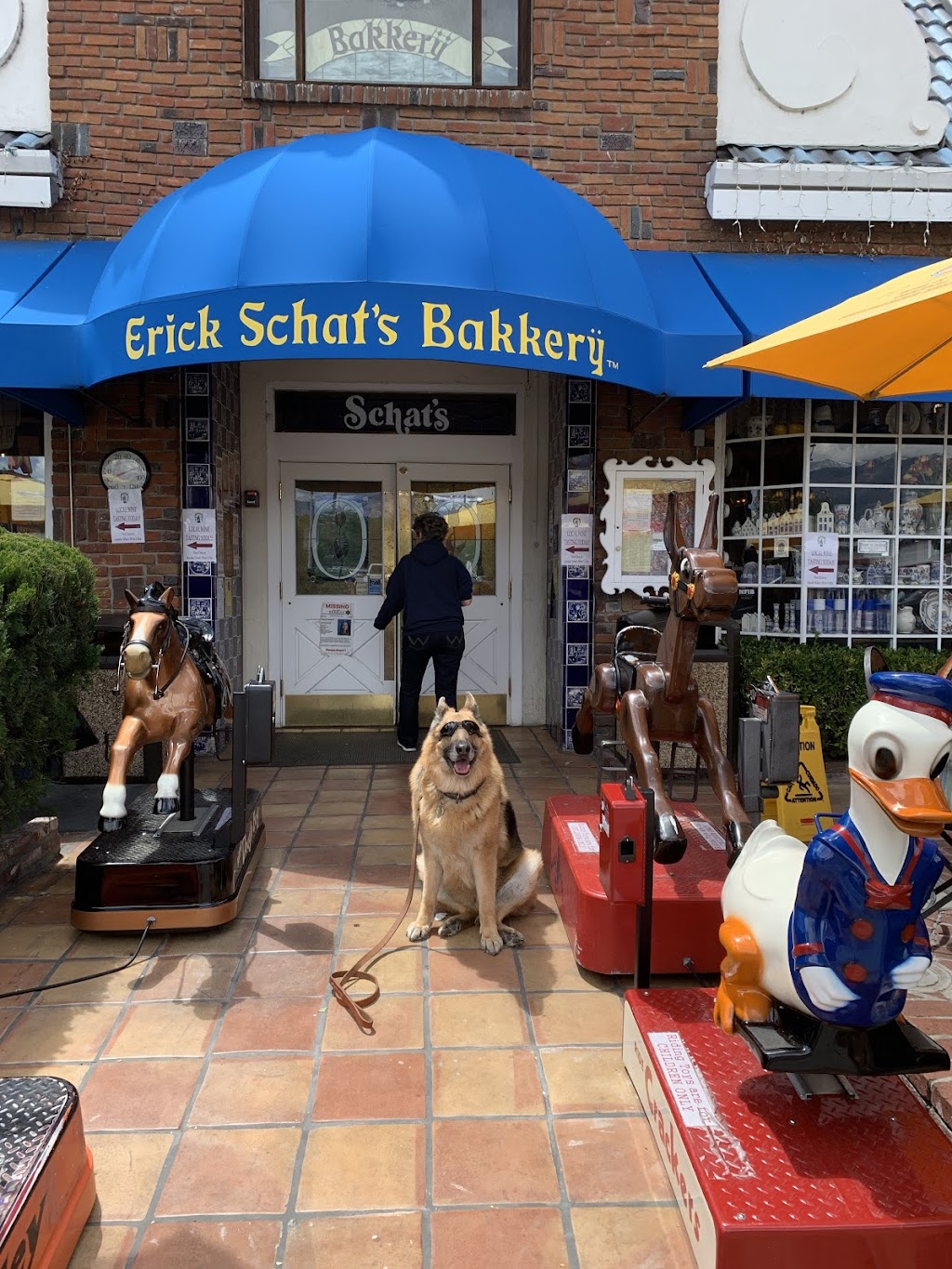 Loyal K-9 Southern Utah | restaurant | 2750 S 3970 St W, Hurricane, UT 84737, USA | 9513332901 OR +1 951-333-2901