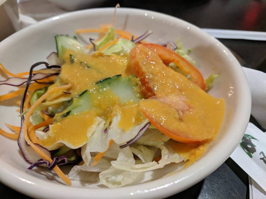 Tokyo Japanese Restaurant | restaurant | 1000 Hylan Dr, Rochester, NY 14623, USA | 5854244166 OR +1 585-424-4166