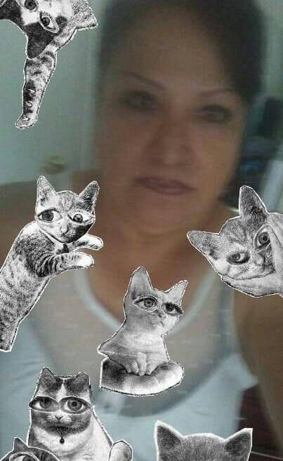 Taqueria Guerrero #2 | restaurant | 934 N Euclid St, Anaheim, CA 92801, USA | 7144910545 OR +1 714-491-0545