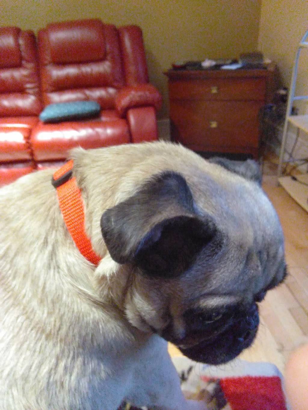 Subway | restaurant | 100 Wealthy St SE, Grand Rapids, MI 49503, USA | 6163233924 OR +1 616-323-3924