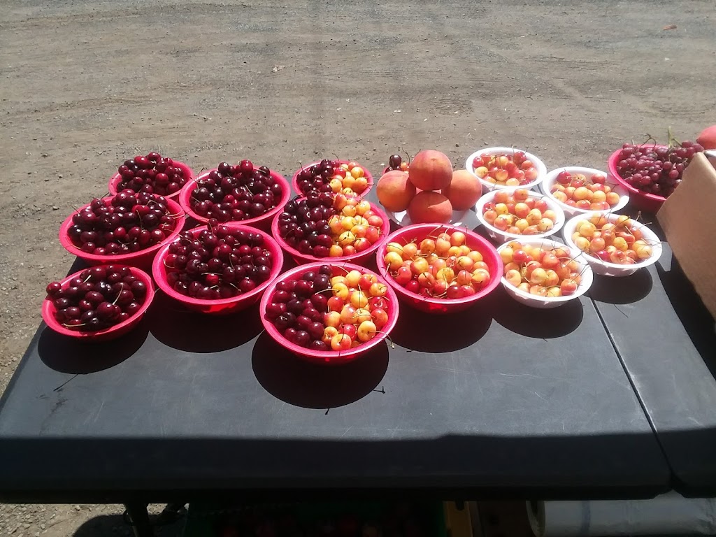 Viraporns Thai Cafe | restaurant | 16801 Ocean Dr, Fort Bragg, CA 95437, USA | 7079620717 OR +1 707-962-0717