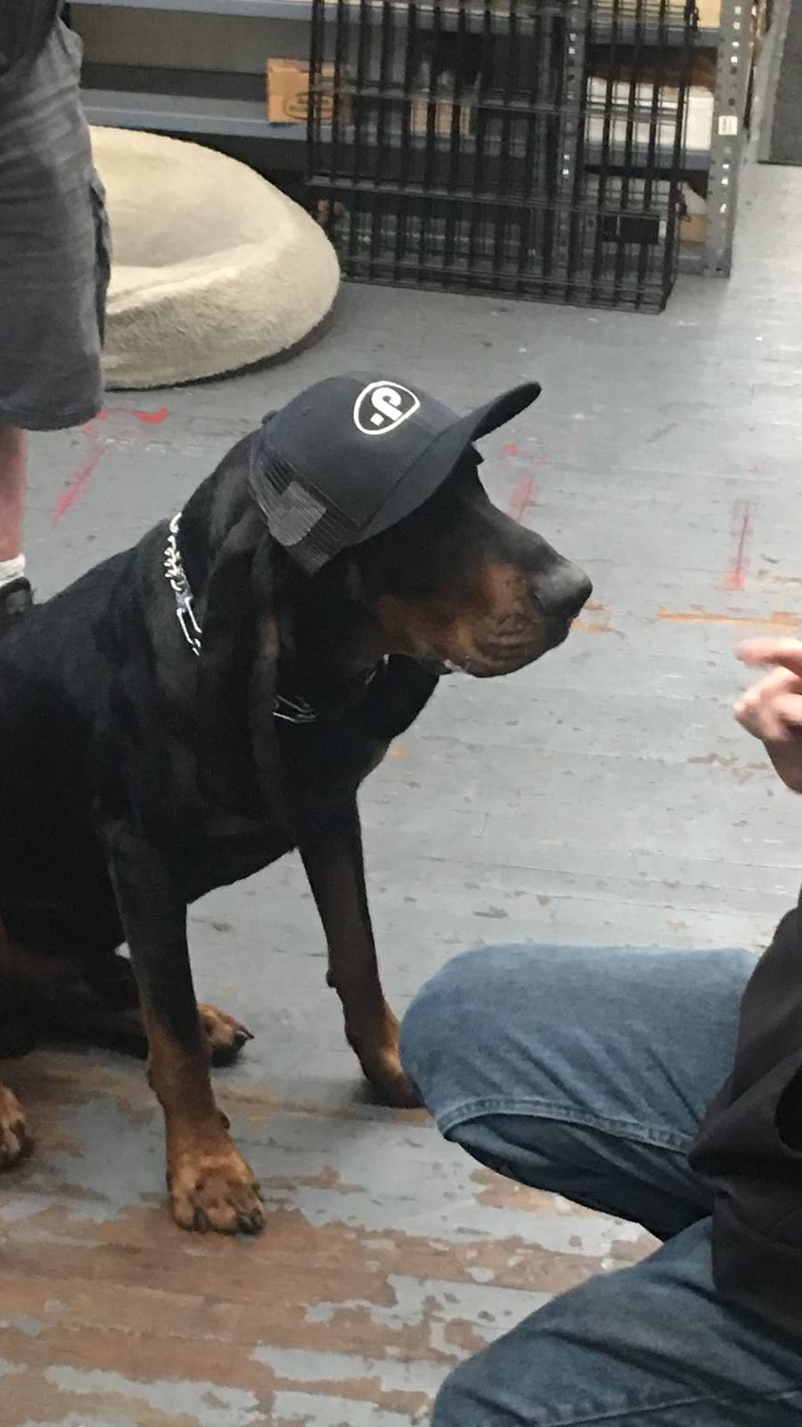 Pantanos Gourmet | restaurant | 1150 Hempstead Turnpike, Uniondale, NY 11553, USA | 5164834911 OR +1 516-483-4911