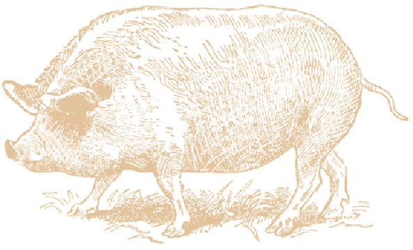 Creperie Saint Germain | restaurant | 1760 Cesar Chavez l, San Francisco, CA 94101, USA | 4159487348 OR +1 415-948-7348