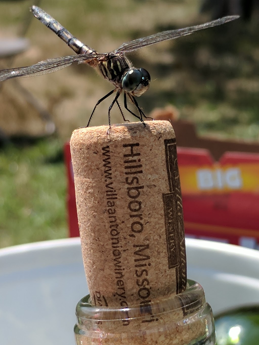 Villa Antonio Winery | restaurant | 3660 Linhorst Rd, Hillsboro, MO 63050, USA | 6364755008 OR +1 636-475-5008