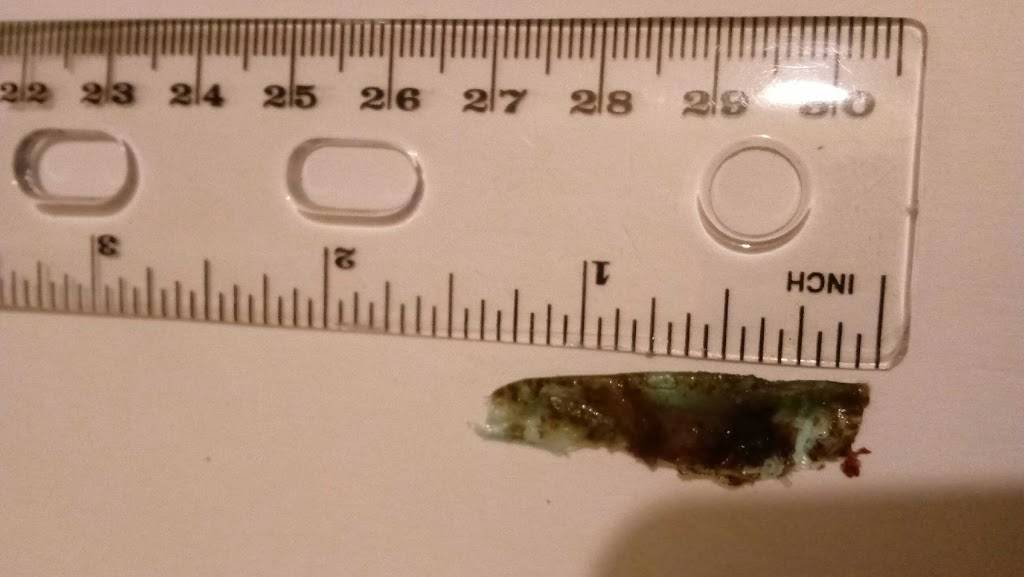 Golden Krust | restaurant | 691 Co Op City Blvd, Bronx, NY 10475, USA | 7186718841 OR +1 718-671-8841