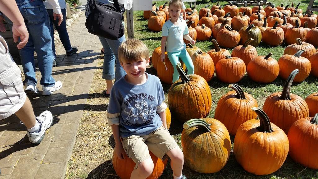 Kickers Sports Bar & Grill | restaurant | 5577 S Saginaw St, Flint, MI 48507, USA | 8106952060 OR +1 810-695-2060