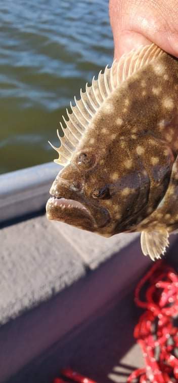 Want More Bait Bar and Grill | restaurant | 7827 2nd St, Hitchcock, TX 77563, USA | 4099275912 OR +1 409-927-5912