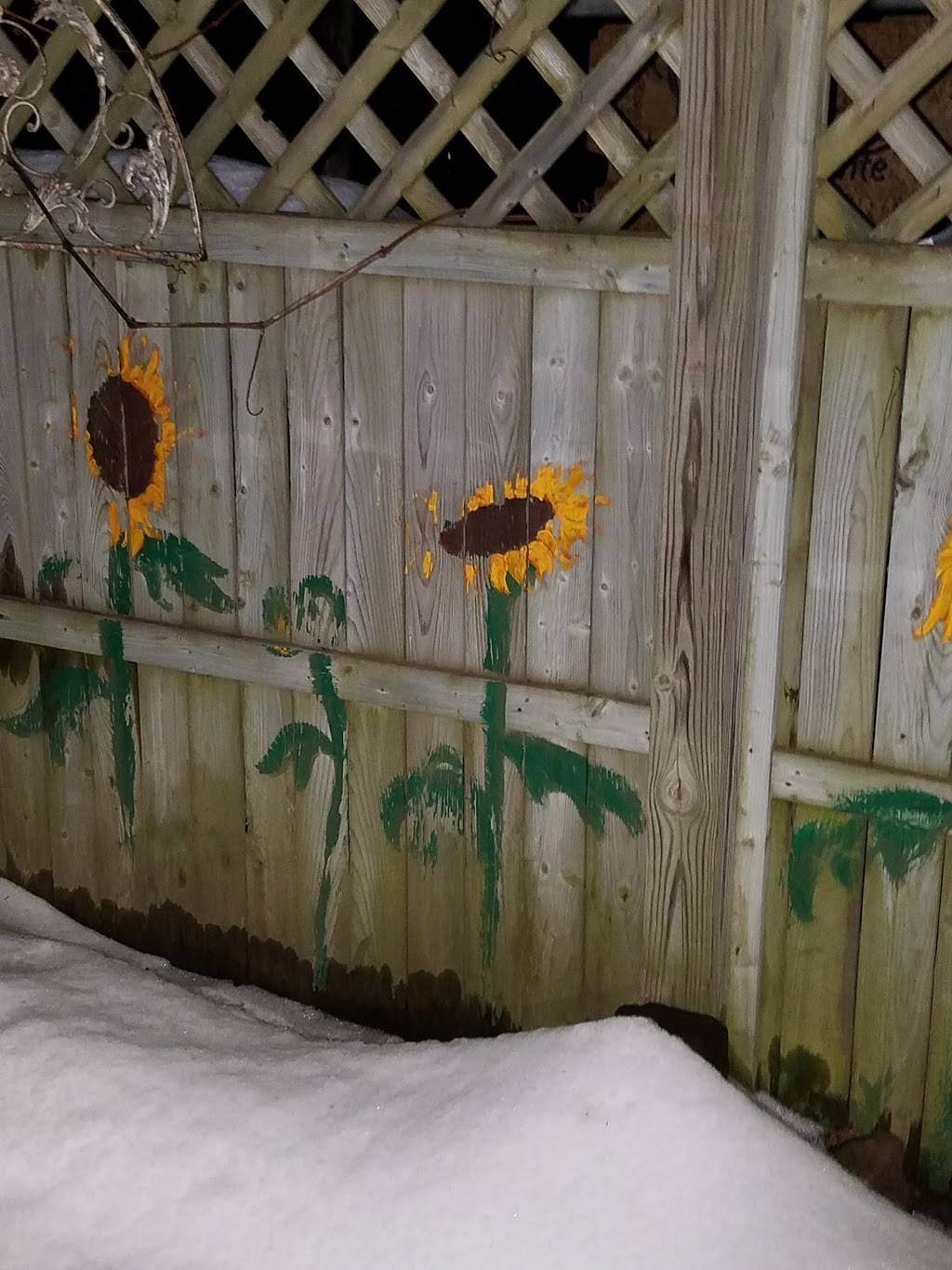 Village Pizzeria & Ristorante | restaurant | 2727 NY-29, Middle Grove, NY 12850, USA | 5188829431 OR +1 518-882-9431