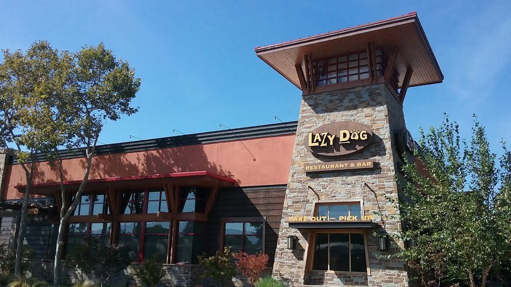 Lazy Dog Restaurant & Bar | restaurant | 1961 Diamond Blvd, Concord, CA 94520, USA | 9258491221 OR +1 925-849-1221