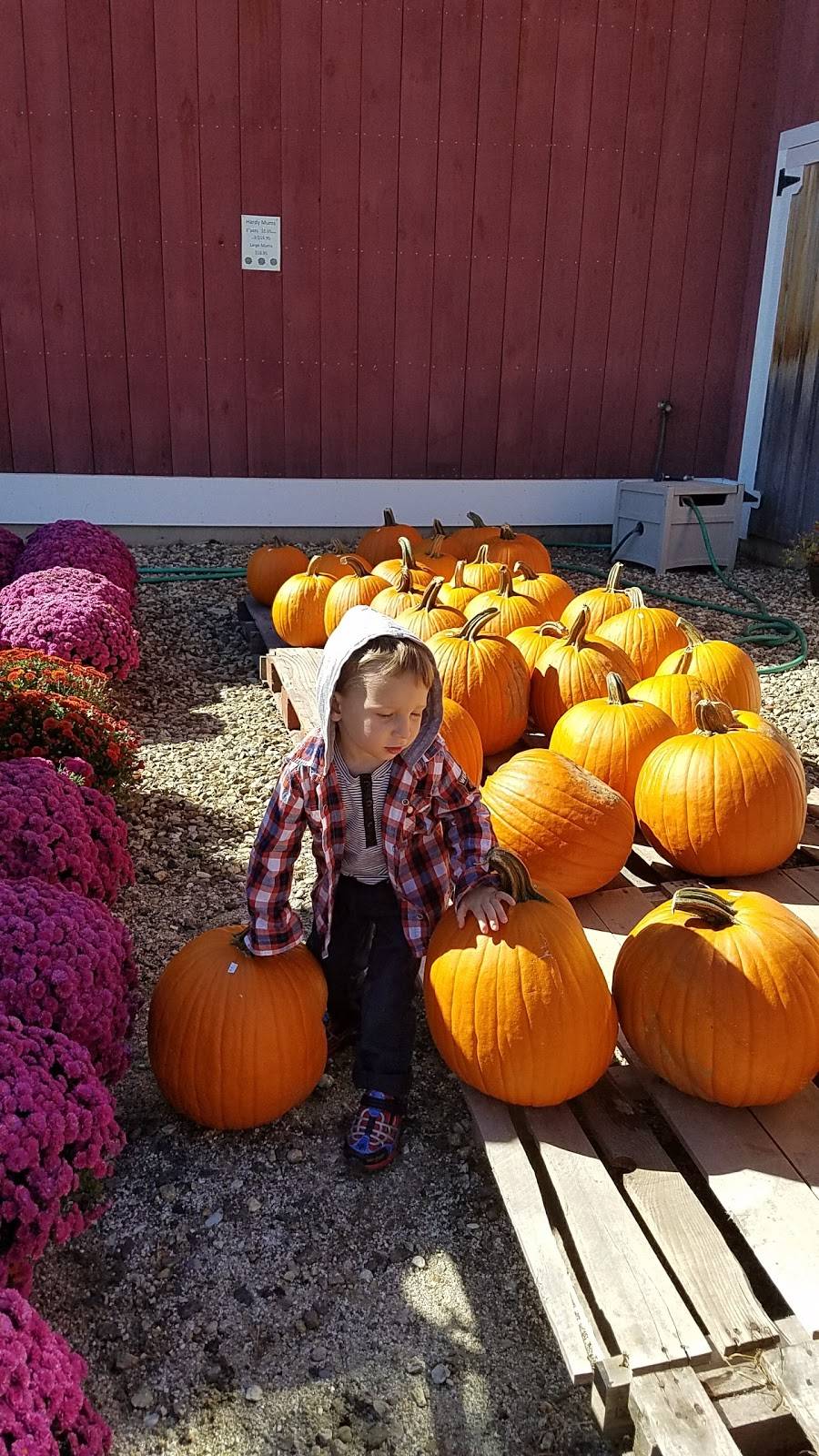 Outlook Farm Barn & Eatery | restaurant | 136 Main Rd, Westhampton, MA 01027, USA | 4135299388 OR +1 413-529-9388