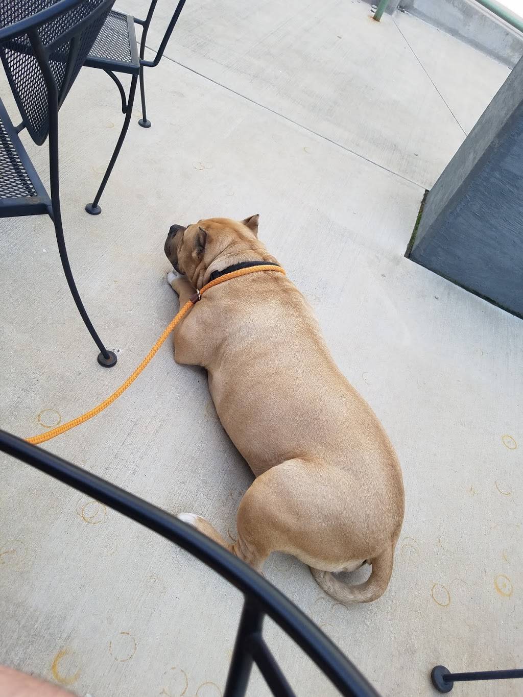 Rebel Pies | restaurant | 360 W Western Ave, Muskegon, MI 49440, USA | 2313755382 OR +1 231-375-5382