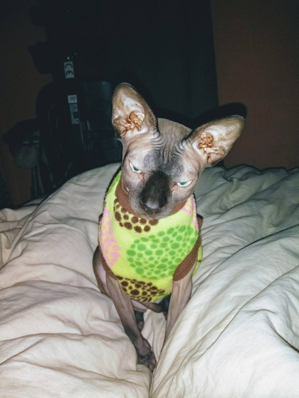 Opa! Greek Grill | restaurant | 10 Oakland Ave, Warwick, NY 10990, USA | 8459868808 OR +1 845-986-8808