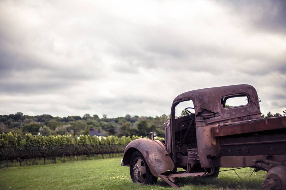 Ravine Vineyard Estate Winery | restaurant | 1366 York Rd, St. Davids, ON L0S 1P0, Canada | 9052628463 OR +1 905-262-8463