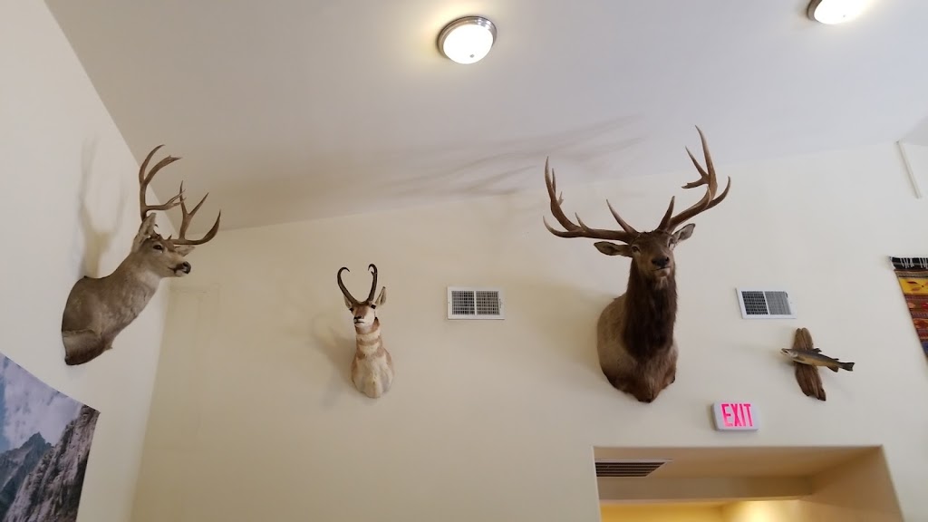 Main Street Grill | restaurant | 545 NM-518, Mora, NM 87732, USA | 5753876070 OR +1 575-387-6070