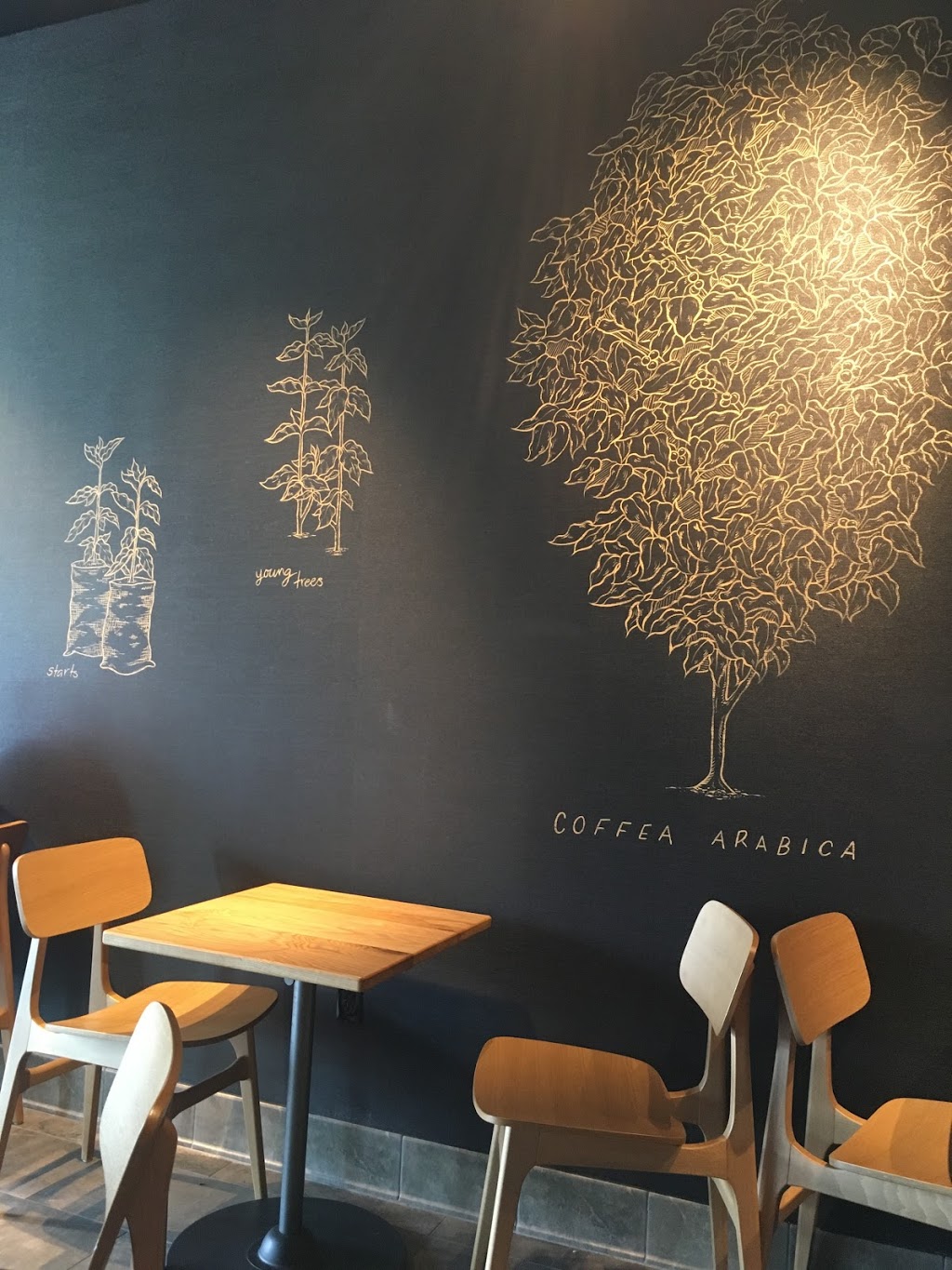 Starbucks | cafe | 12000 Biscayne Blvd, Miami, FL 33181, USA | 3058937941 OR +1 305-893-7941