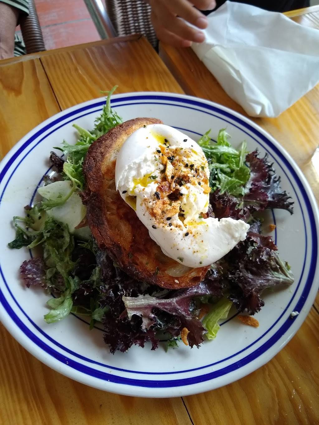 Chugs | restaurant | 3444 Main Hwy Suite 21, Miami, FL 33133, USA | 7865348722 OR +1 786-534-8722