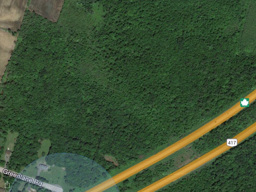 Greenlane Maple | restaurant | 2875 Greenlane east, East Hawkesbury, ON K6A 2R2, Canada | 6136764035 OR +1 613-676-4035