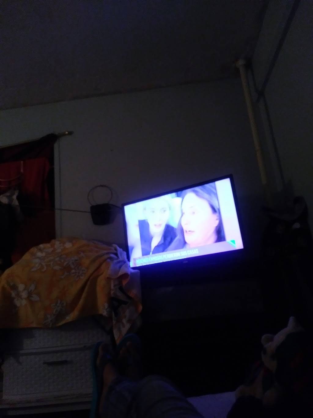 No 1 Wo Hop | restaurant | 2825 Frederick Douglass Blvd, New York, NY 10039, USA | 2128622702 OR +1 212-862-2702