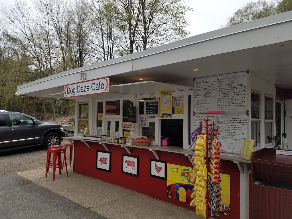 Dog Daze Cafe | meal takeaway | 713 Danbury Rd, Wilton, CT 06897, USA | 8456998848 OR +1 845-699-8848