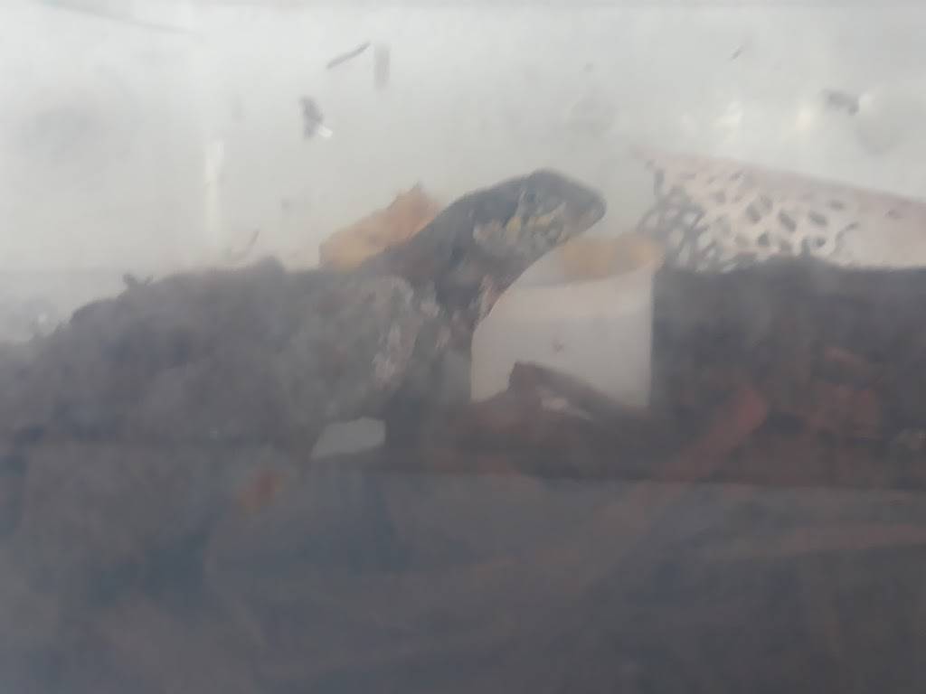 Charleys Philly Steaks | restaurant | 20505 S Dixie Hwy Ste BAY1871, Cutler Bay, FL 33189, USA | 3052323174 OR +1 305-232-3174