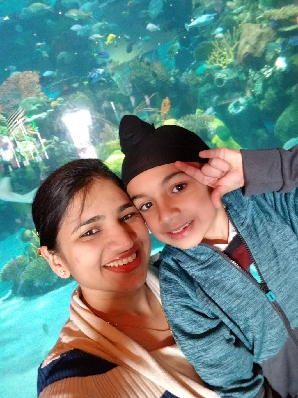 Festival Center | restaurant | 4825 W Flamingo Rd, Las Vegas, NV 89103, USA | 7023415555 OR +1 702-341-5555