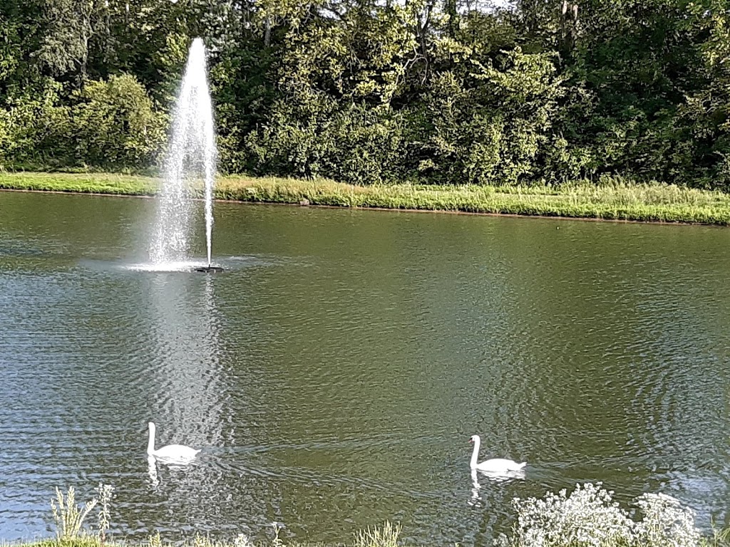 Piazza Messina | restaurant | 5535 Hwy N, Cottleville, MO 63304, USA | 6362320109 OR +1 636-232-0109