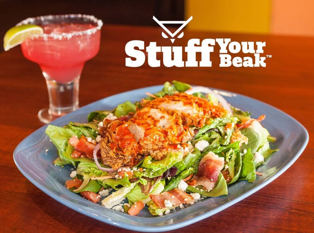 Angry Owl Southwest Grill & Cantina | restaurant | 4799 N Mesa St, El Paso, TX 79912, USA | 9155322450 OR +1 915-532-2450