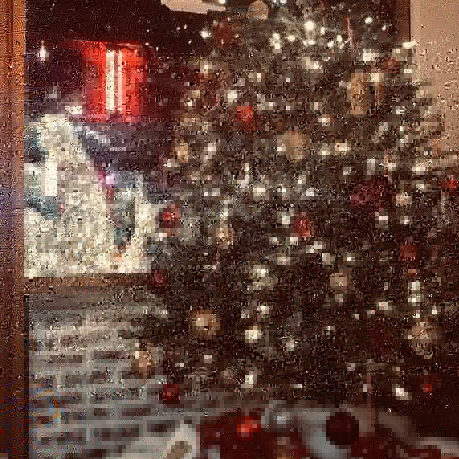 MangiPasta | restaurant | 608 E 187th St, Bronx, NY 10458, USA | 7189330100 OR +1 718-933-0100