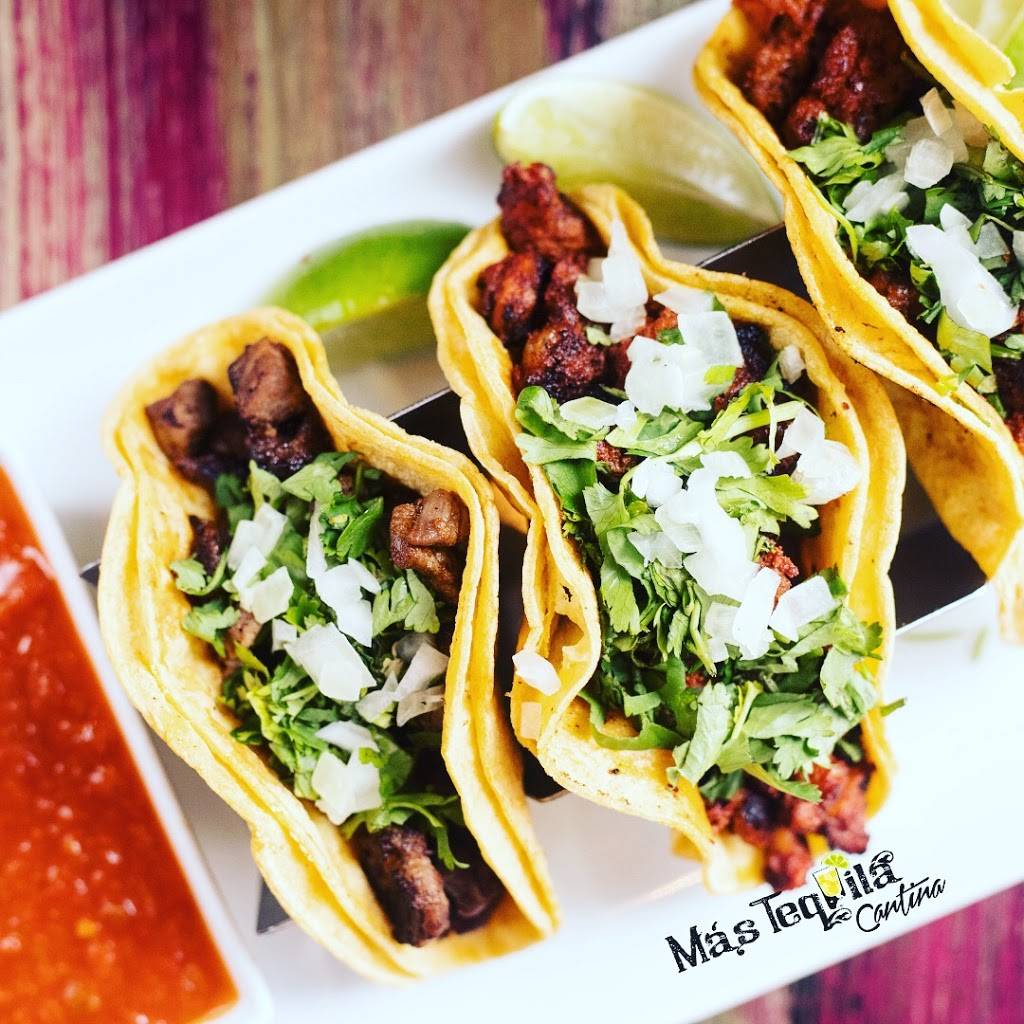 Más Tequila Cantina | restaurant | 708 N 2nd St, St. Louis, MO 63102, USA | 3148771700 OR +1 314-877-1700