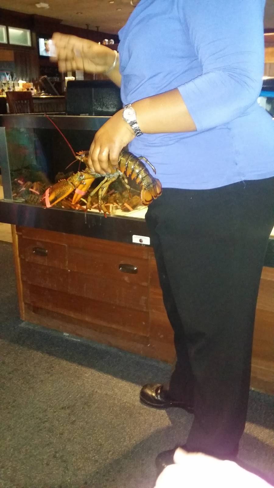 Red Lobster | restaurant | 305 Merchant Dr, Knoxville, TN 37912, USA | 8656892410 OR +1 865-689-2410