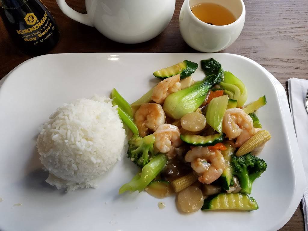 YHS - Yummy House South China Bistro | restaurant | 302 N Dale Mabry Hwy, Tampa, FL 33609, USA | 8135134788 OR +1 813-513-4788