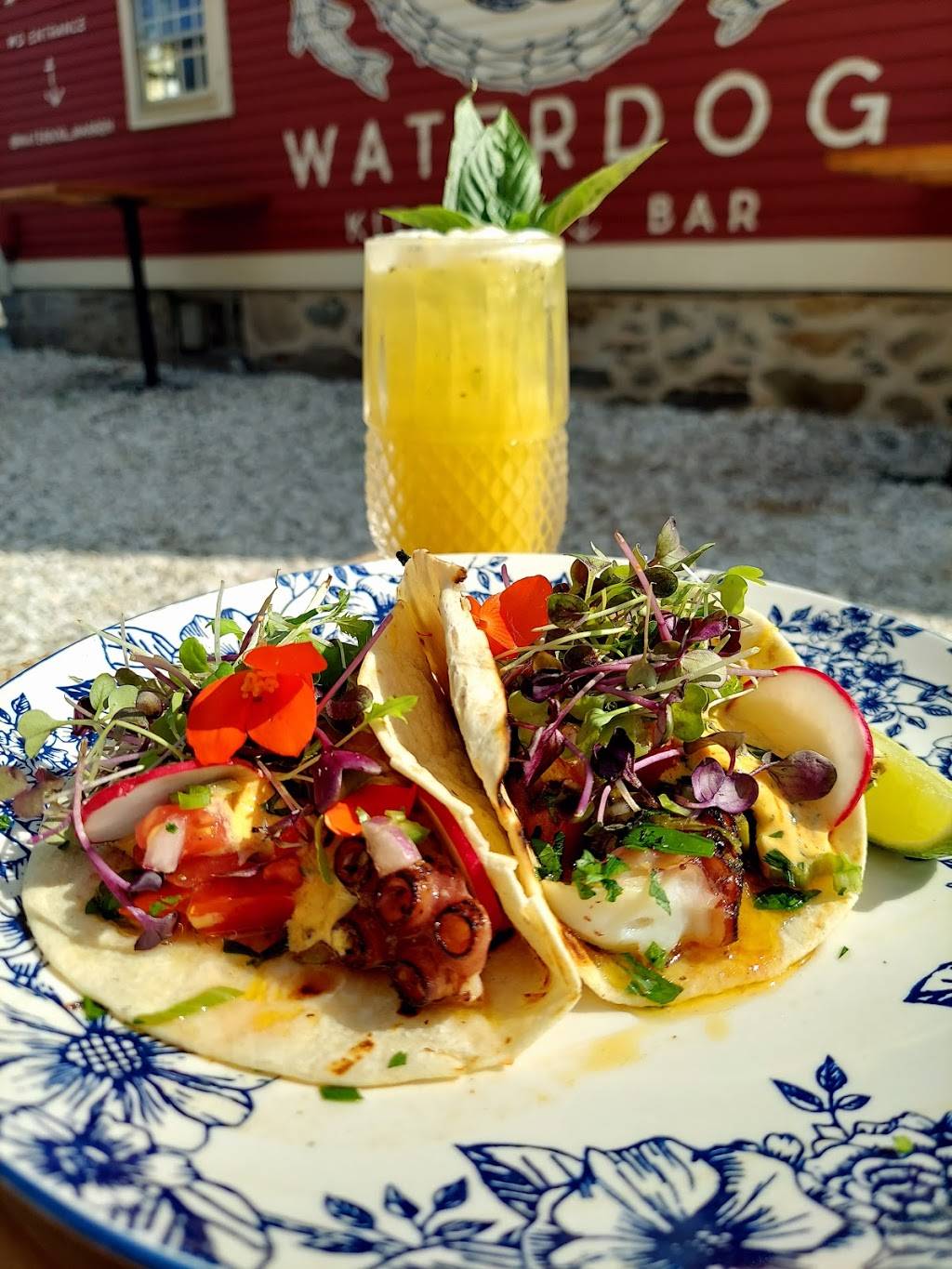 Waterdog Kitchen + Bar | restaurant | 125 Water St, Warren, RI 02885, USA | 4012524660 OR +1 401-252-4660