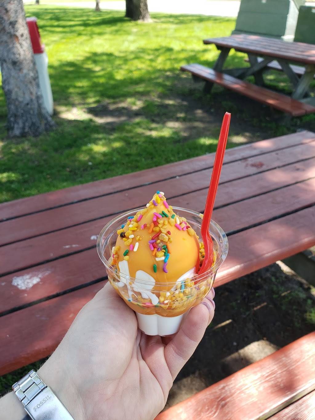 Dairy Queen | restaurant | 403 Morton Ave NW, Elk River, MN 55330, USA | 7634411823 OR +1 763-441-1823