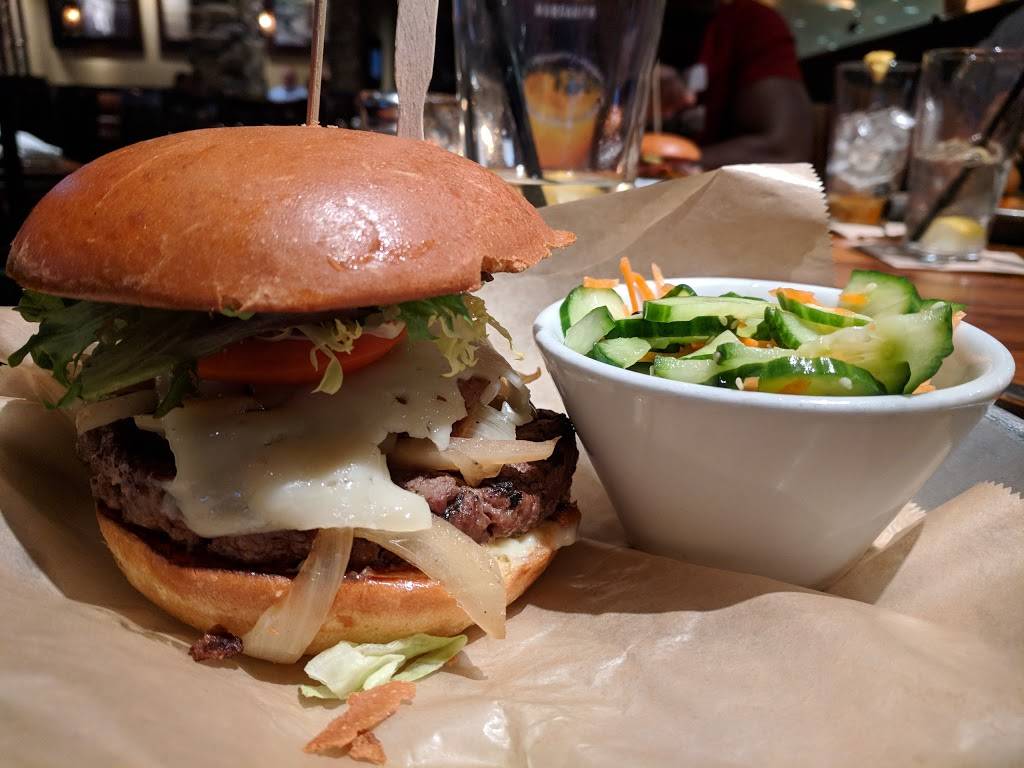 Lazy Dog Restaurant & Bar | restaurant | 4805 Hacienda Dr, Dublin, CA 94568, USA | 9253613690 OR +1 925-361-3690