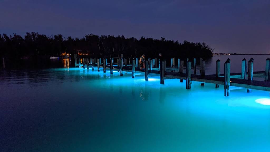 Shore Longboat Key | restaurant | 800 Broadway St, Longboat Key, FL 34228, USA | 9412594600 OR +1 941-259-4600