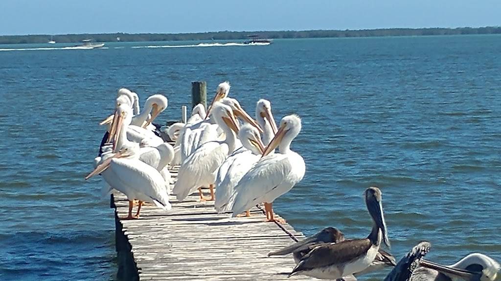 Judah & Son | restaurant | 13390 N Indian River Dr, Sebastian, FL 32958, USA | 7725895315 OR +1 772-589-5315