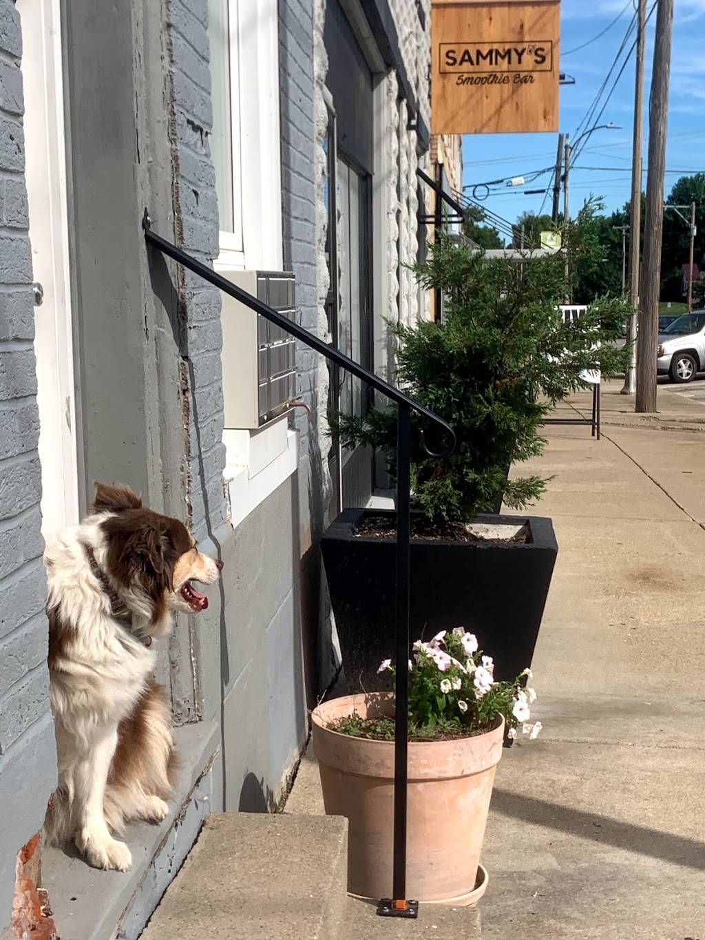 Sammy’s Smoothie Bar | restaurant | 109 N Cross St, Robinson, IL 62454, USA | 6184691005 OR +1 618-469-1005