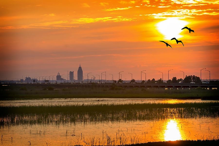 Boudreauxs Cajun Grill | restaurant | 29249 US-98, Daphne, AL 36526, USA | 2516211991 OR +1 251-621-1991